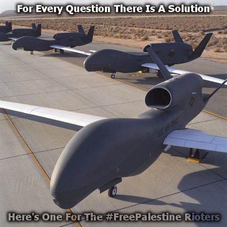 Solving For The #FreePalestine Question