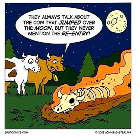 The Cow After The Moon