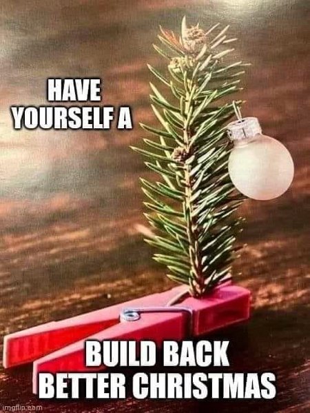 A Democrat Christmas Wish - A Build Back Better Christmas