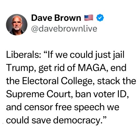 Liberals - hey Could Save Democracy