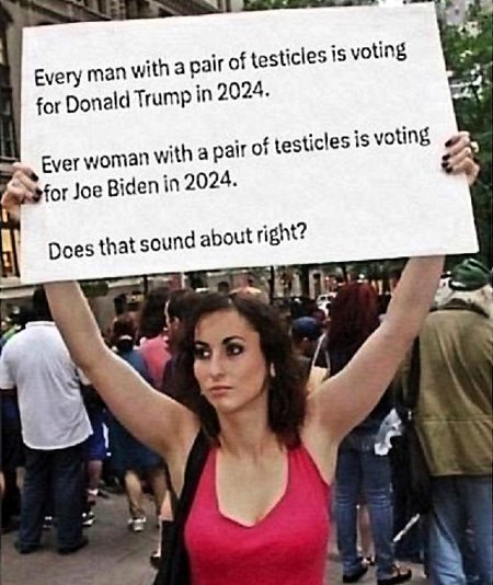 The 2024 Testicle Vote Breakout Explained