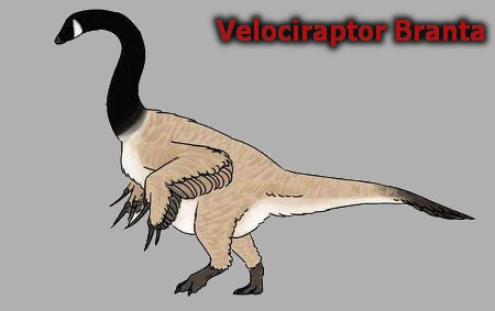 Late Cretaceous Horrors - Velociraptor Branta