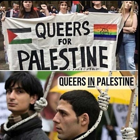 Of Queers & Palestine