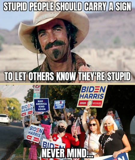 Signs Of Stupidity