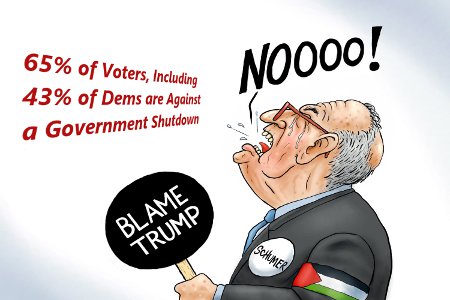 Schumer Shutdown Timeline