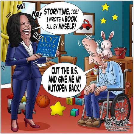 Kamala's 107 Days
