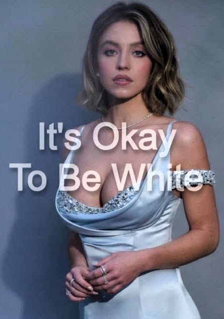 It's OK To Be White