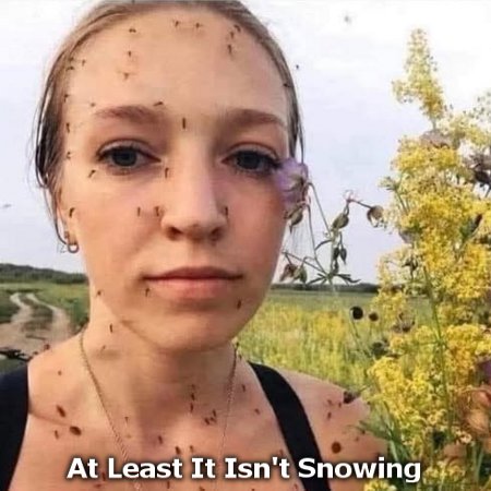 At Least It Isn't Snowing