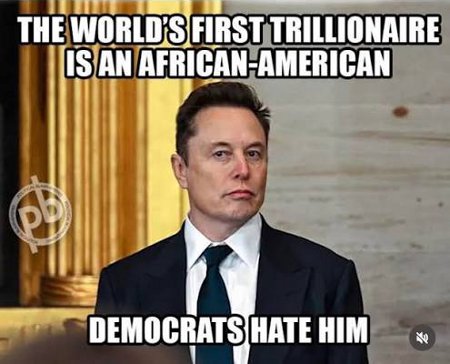 African-American Success - Elon Musk