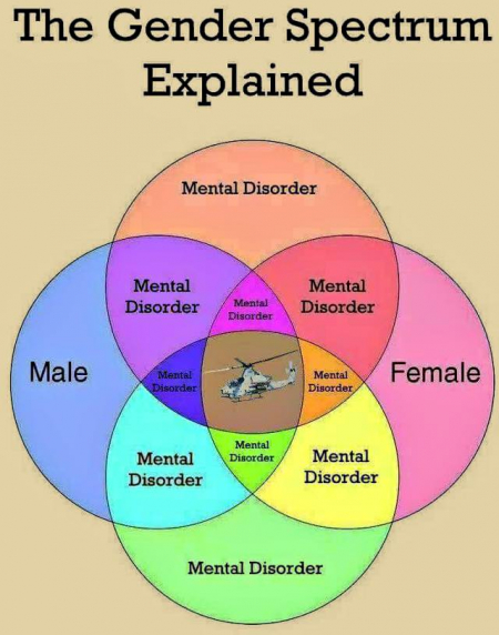gender-spectrum